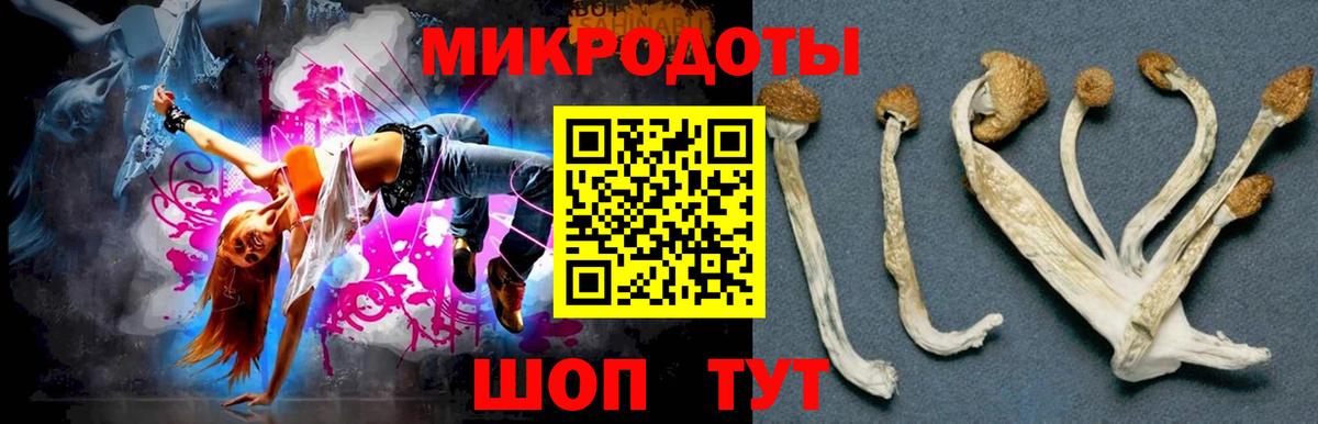 Галлюциногенные грибы GOLDEN TEACHER Павлово