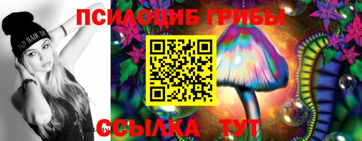 Павлово  Галлюциногенные грибы Psilocybine cubensis  Вход с VPN 